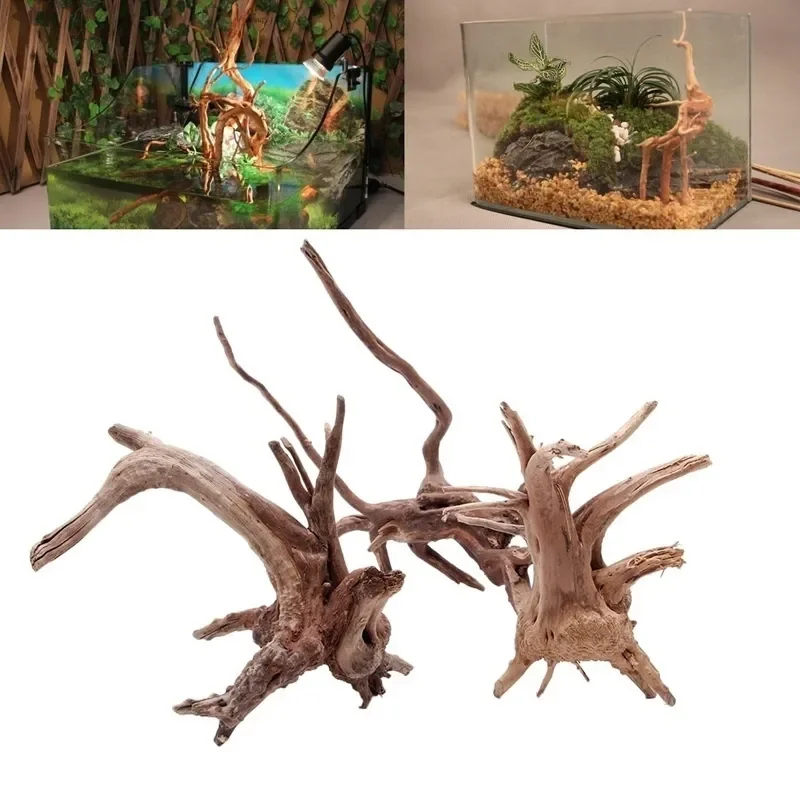 Planted Aquarium With Driftwood - ต้นไม้ธรรมชาติลำต้นไม้ดริฟท์วู้ดตู้ปลาตู้ปลาตู้ปลาตู้ปลาตู้ปลาที่รากกระบอกพืชไม้เครื่องประดับตกแต่งสำหรับพืชในตู้ปลา