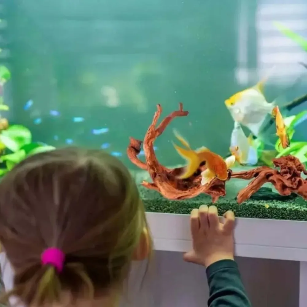 Planted Aquarium With Driftwood - ไม้ลอยน้ำขนาดเล็กจากลำต้นธรรมชาติ สำหรับตกแต่งตู้ปลา สร้างภูมิทัศน์ทางน้ำ ตกแต่งตู้ปลาสวยงาม