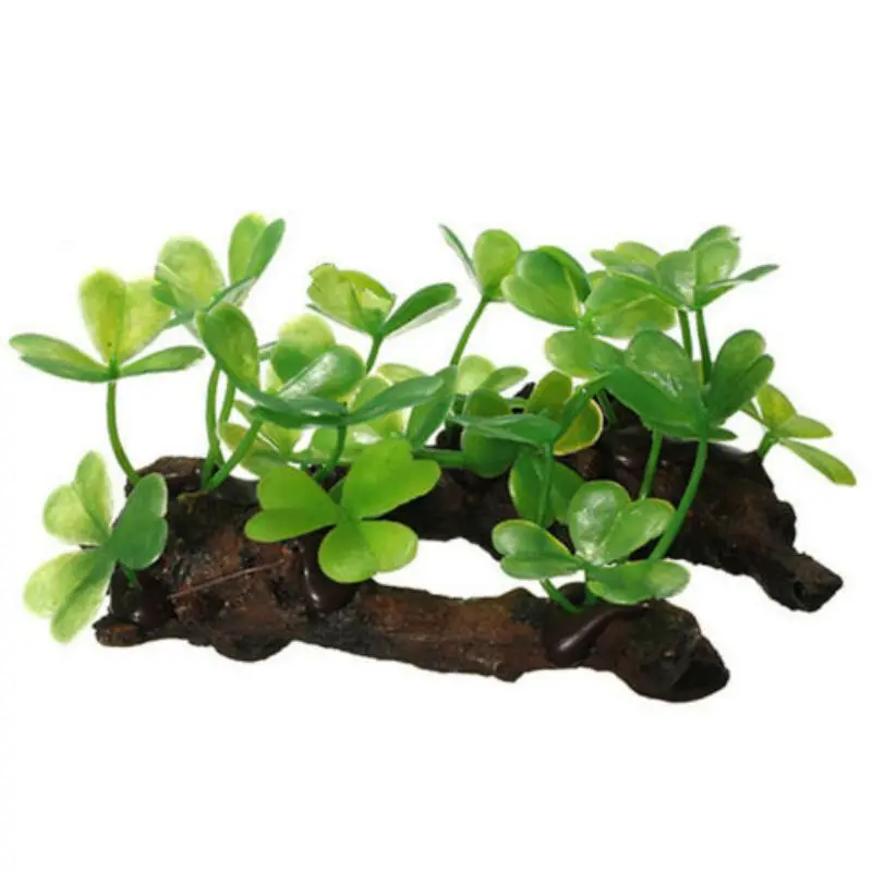 พลาสติกประดิษฐ์เต่าต้นไม้ Trun - Planted Aquarium With Driftwood บทวิจารณ์และราคา