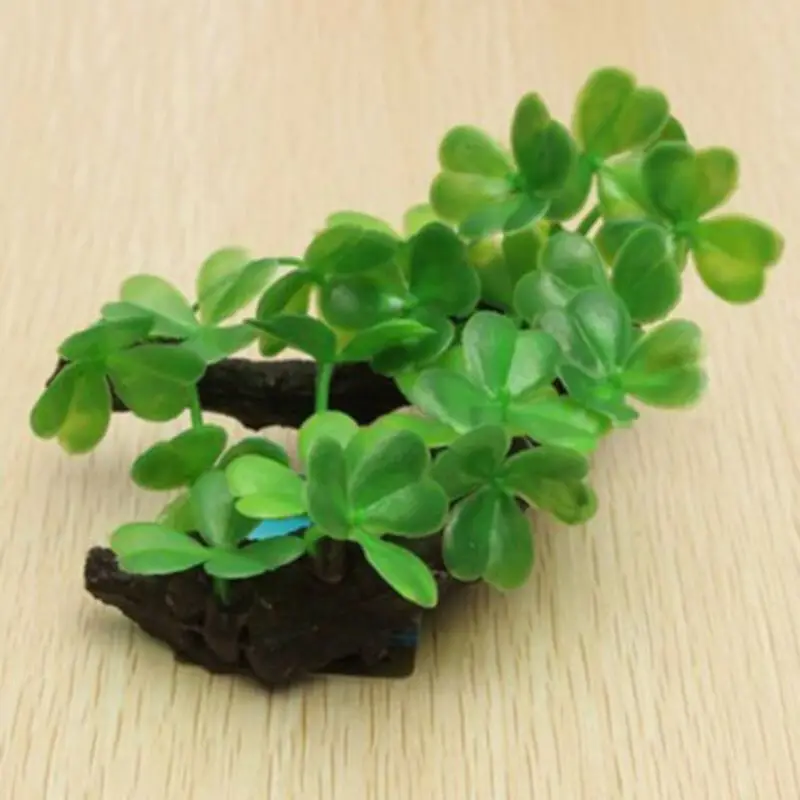 พลาสติกประดิษฐ์เต่าต้นไม้ Trun - Planted Aquarium With Driftwood บทวิจารณ์และราคา