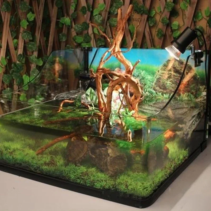 ต้นไม้ธรรมชาติลำต้นไม้ดริฟท์วู - Planted Aquarium With Driftwood บทวิจารณ์และราคา