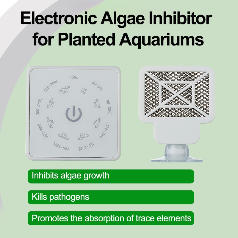 เครื่องมือทำความสะอาดตู้ปลาอิเ - Planted Aquarium Algae Remover บทวิจารณ์และราคา