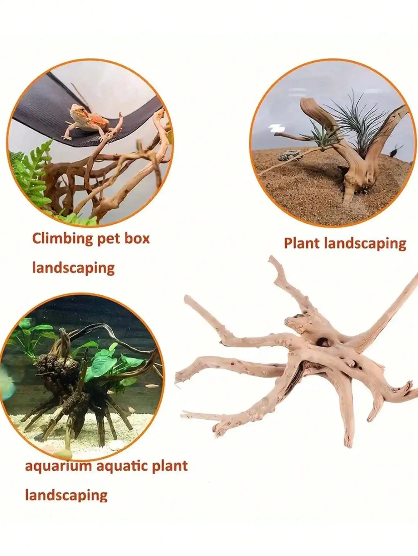 ไม้ลอยน้ำขนาดเล็กจากลำต้นธรรมช - Planted Aquarium With Driftwood บทวิจารณ์และราคา