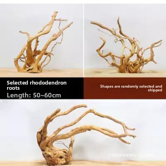 กิ่งไม้ลอยน้ำธรรมชาติสำหรับตกแ - Planted Aquarium With Driftwood บทวิจารณ์และราคา