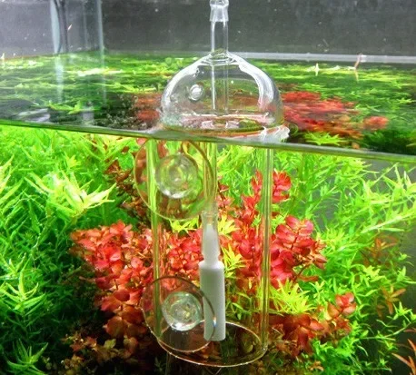 VIV Do อุปกรณ์ Aquarium กระบอก - Aquarium Plant Delivery บทวิจารณ์และราคา