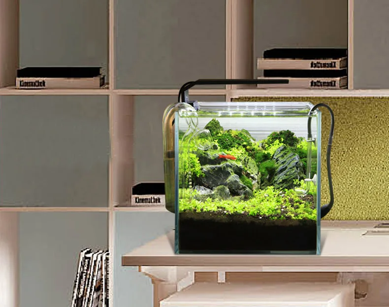 Chihiros C Series ADA สไตล์พืช - Aquarium Plant Growing บทวิจารณ์และราคา