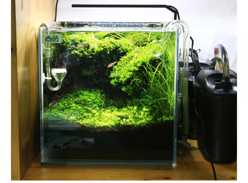 Chihiros C Series ADA สไตล์พืช - Aquarium Plant Growing บทวิจารณ์และราคา
