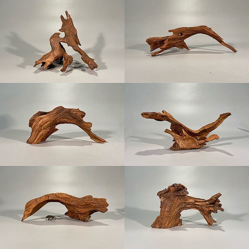 Natural Driftwood Aquarium Mos - Planted Aquarium With Driftwood บทวิจารณ์และราคา