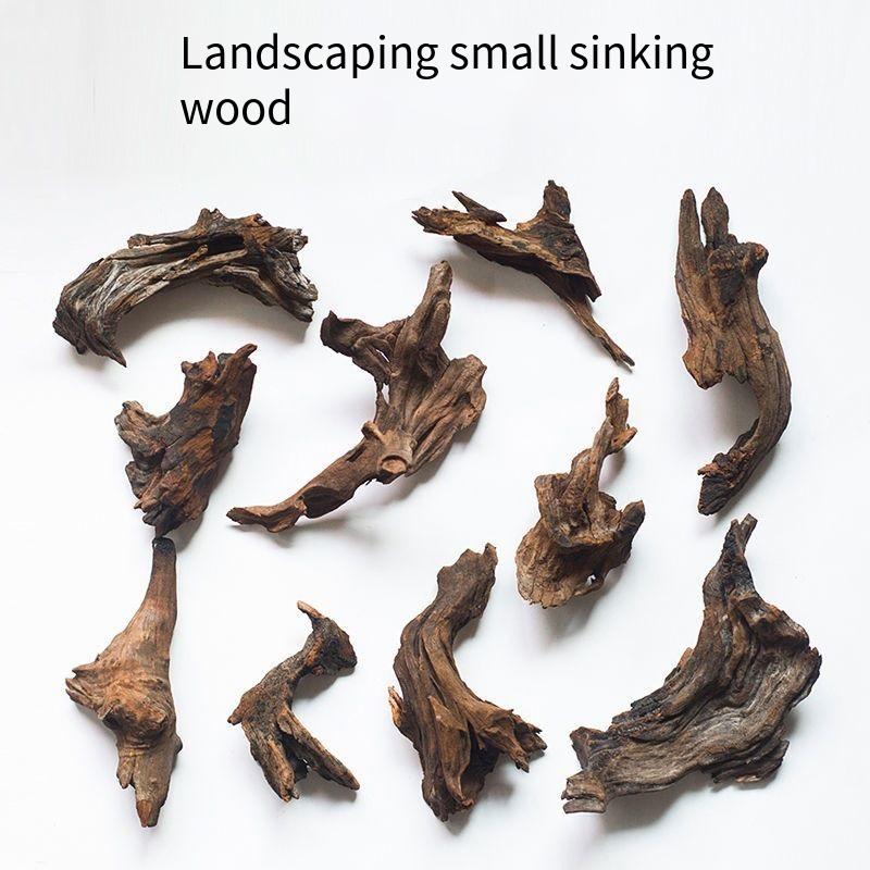 Natural Driftwood Aquarium Mos - Planted Aquarium With Driftwood บทวิจารณ์และราคา