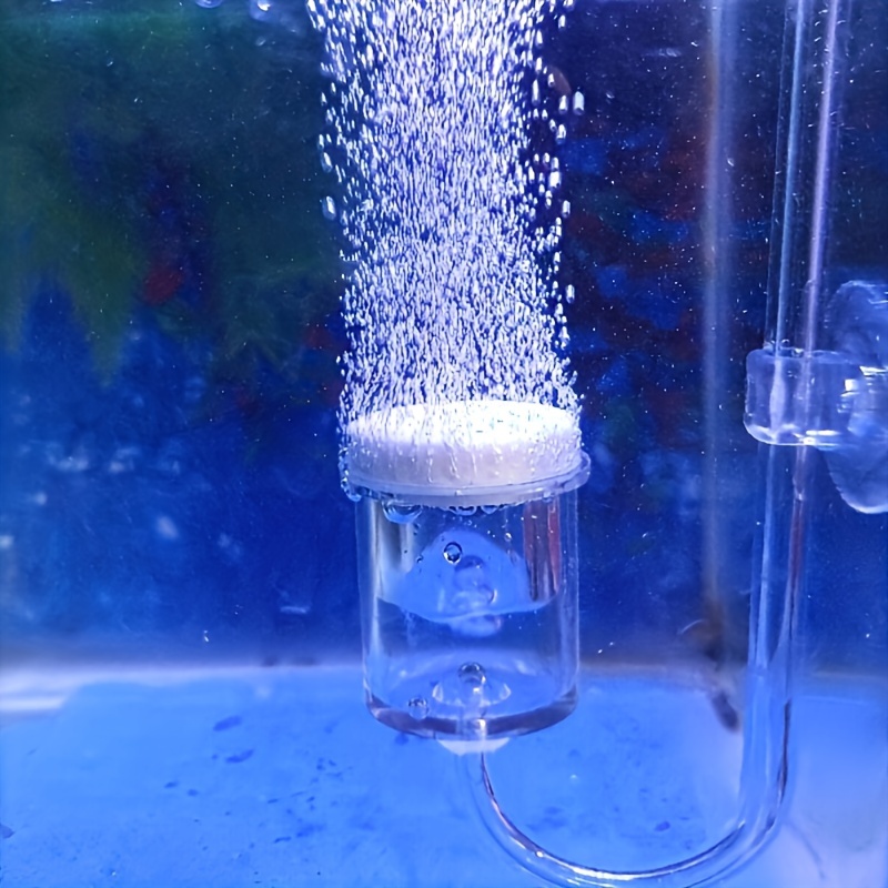 Aquarium Glass CO2 Atomizer Di - Planted Aquarium Co2 บทวิจารณ์และราคา