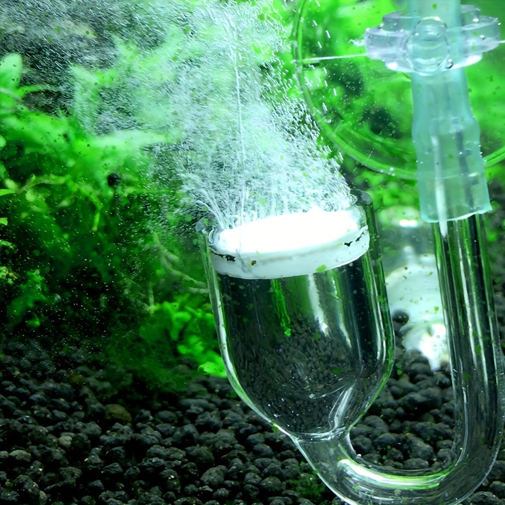 Aquarium Glass CO2 Atomizer Di - Planted Aquarium Co2 บทวิจารณ์และราคา
