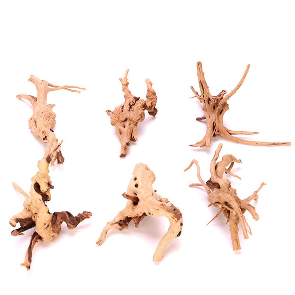 ไม้ตกแต่งตู้ปลา N1N สำหรับจัดส - Planted Aquarium With Driftwood บทวิจารณ์และราคา