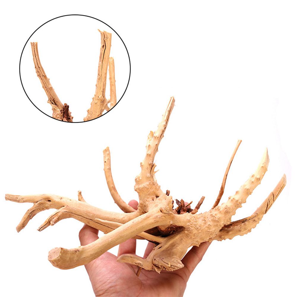 ไม้ตกแต่งตู้ปลา N1N สำหรับจัดส - Planted Aquarium With Driftwood บทวิจารณ์และราคา