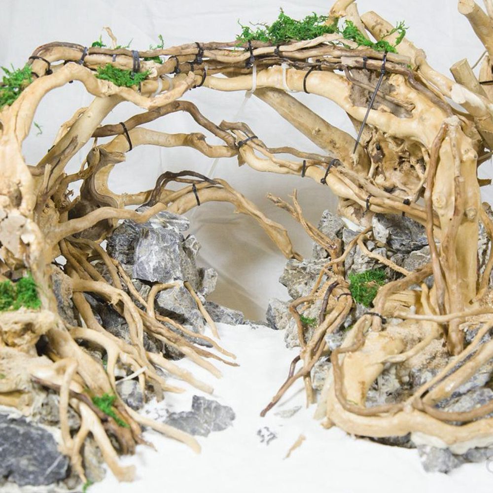 ไม้ตกแต่งตู้ปลา N1N สำหรับจัดส - Planted Aquarium With Driftwood บทวิจารณ์และราคา