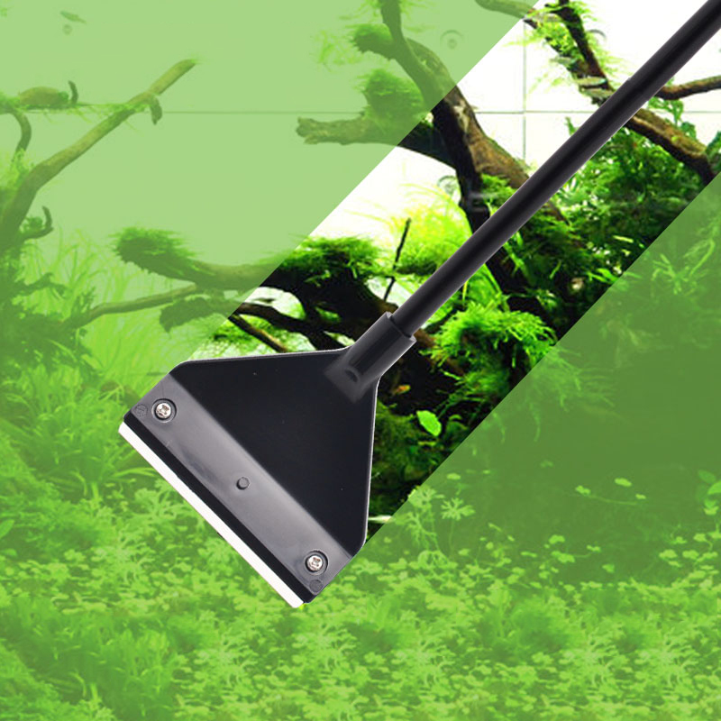 พิพิธภัณฑ์สัตว์น้ําสาหร่ายRemo - Planted Aquarium Algae Remover บทวิจารณ์และราคา