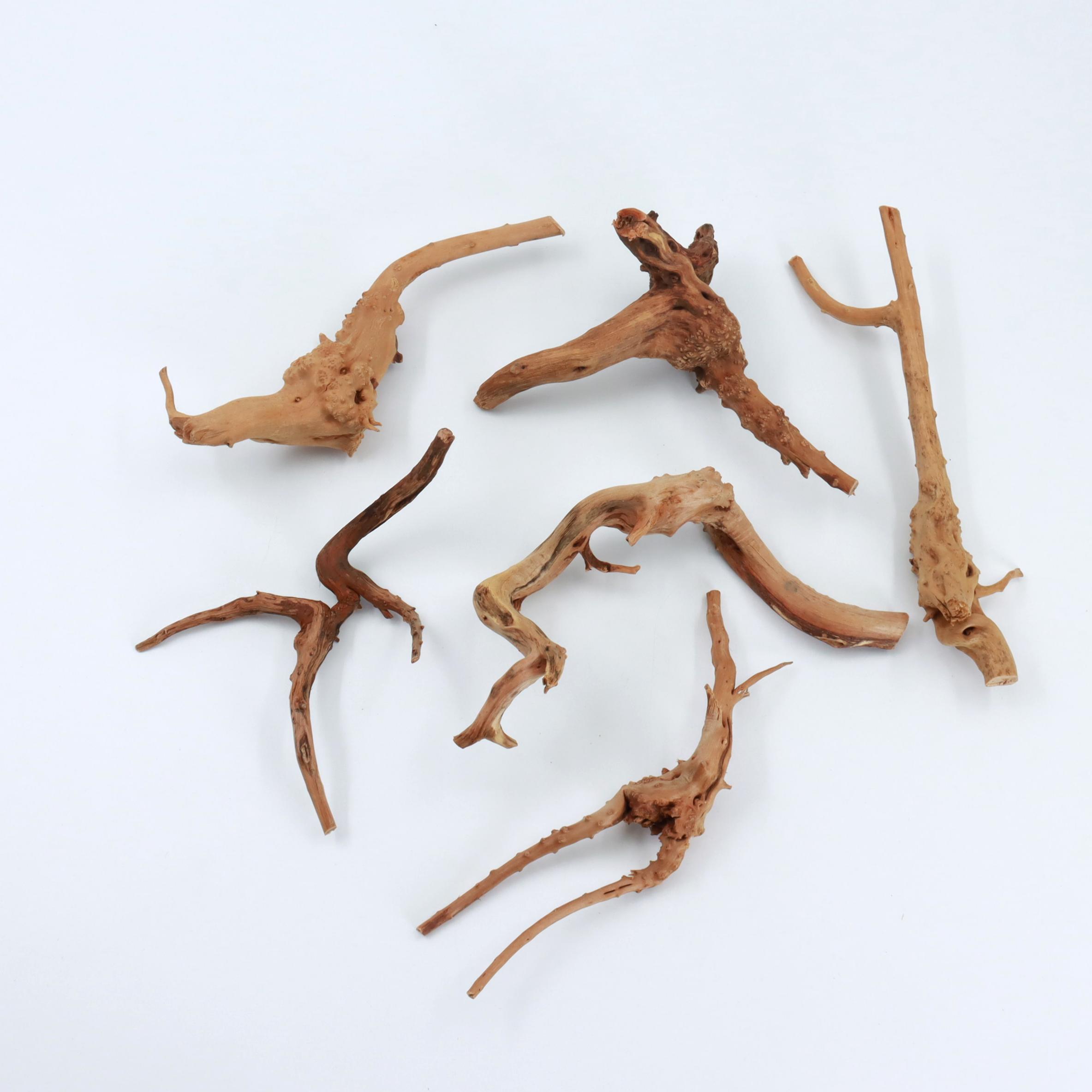 ไม้ดริฟท์วูดธรรมชาติขนาดเล็ก 2 - Planted Aquarium With Driftwood บทวิจารณ์และราคา
