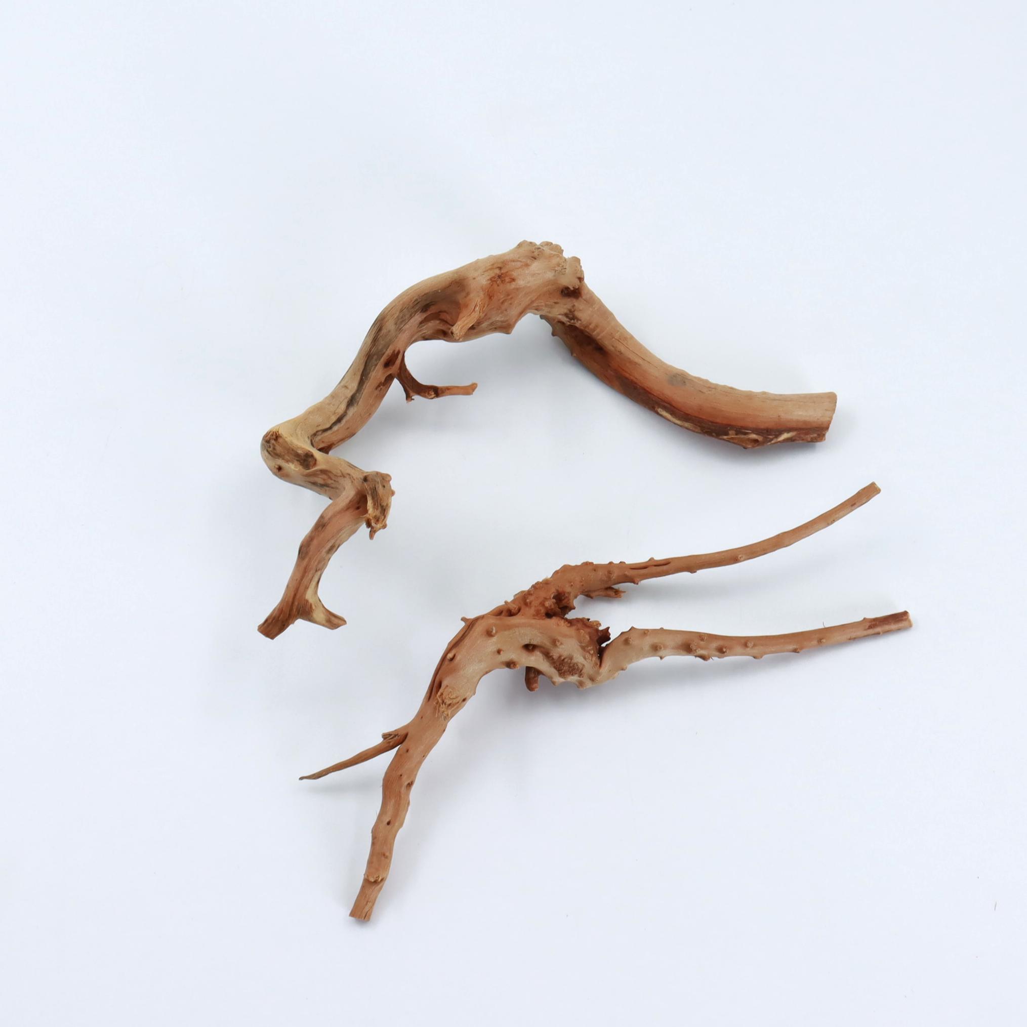 ไม้ดริฟท์วูดธรรมชาติขนาดเล็ก 2 - Planted Aquarium With Driftwood บทวิจารณ์และราคา