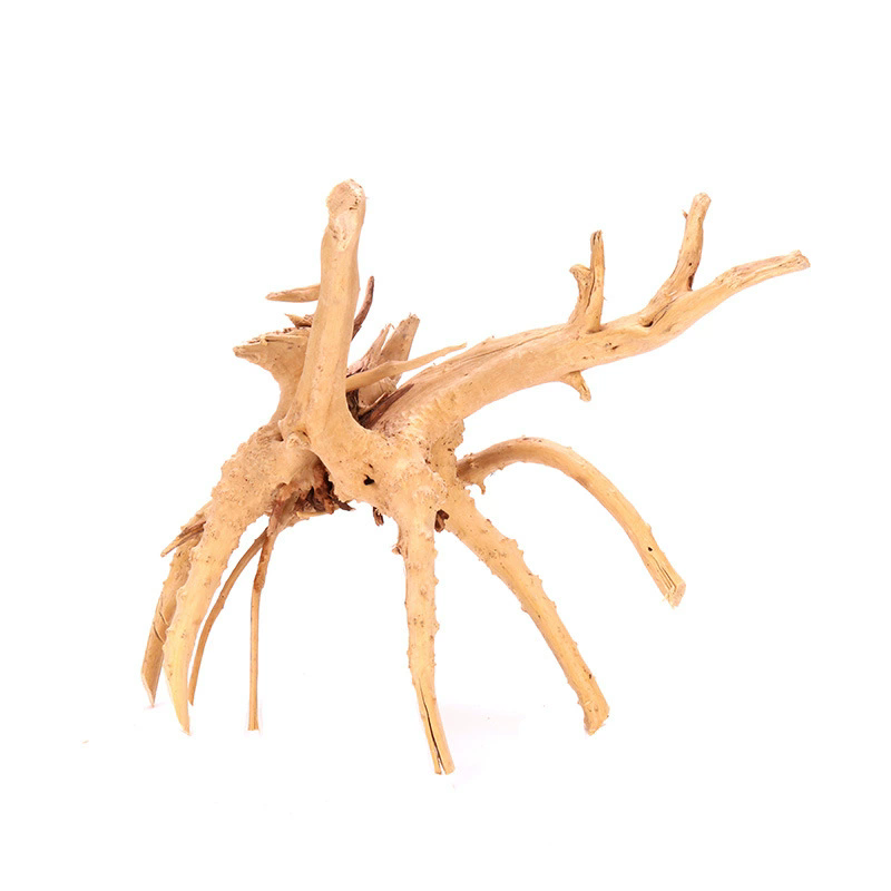 ของตกแต่งตู้ปลาไม้ธรรมชาติ 4 ช - Planted Aquarium With Driftwood บทวิจารณ์และราคา