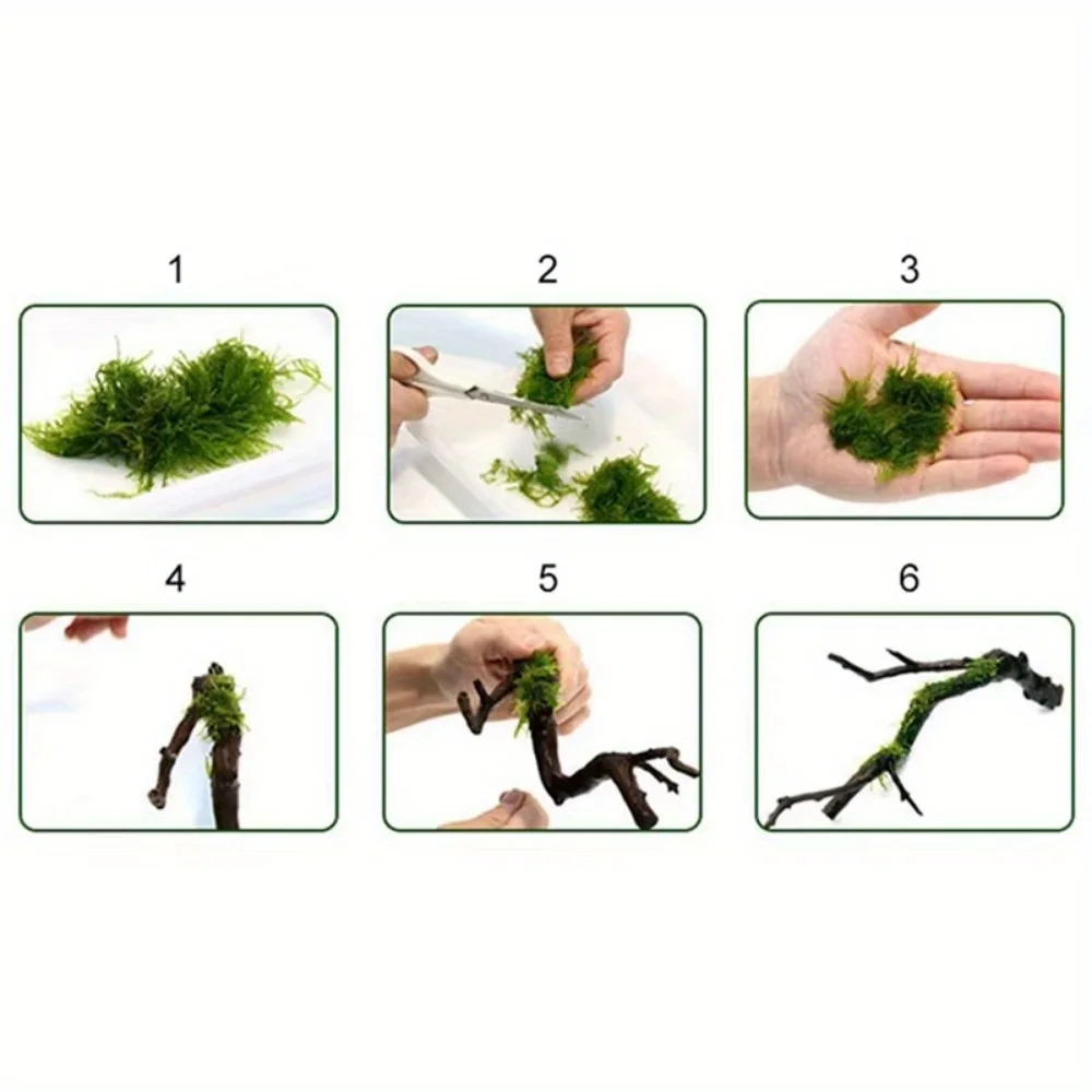 1 ม้วน DIY MOSS Line Binding L - Planted Aquarium With Driftwood บทวิจารณ์และราคา