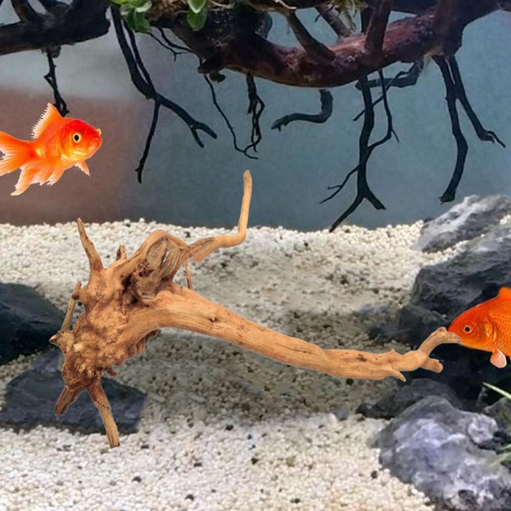 ไม้ลอยน้ำขนาดใหญ่ 20-25 ซม. สำ - Planted Aquarium With Driftwood บทวิจารณ์และราคา