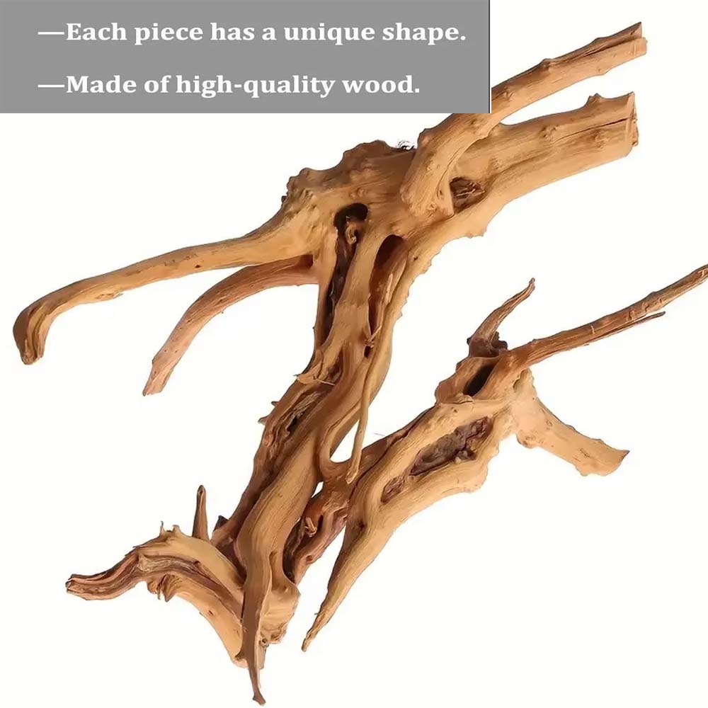 ไม้ลอยน้ำขนาดใหญ่ 20-25 ซม. สำ - Planted Aquarium With Driftwood บทวิจารณ์และราคา