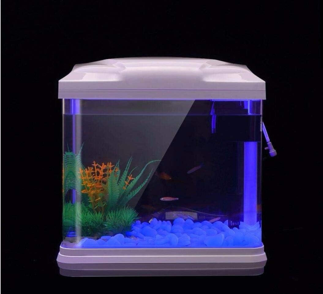 ถังปลา Rocks Glow Blue Pebbles - Aquarium Plant Delivery บทวิจารณ์และราคา