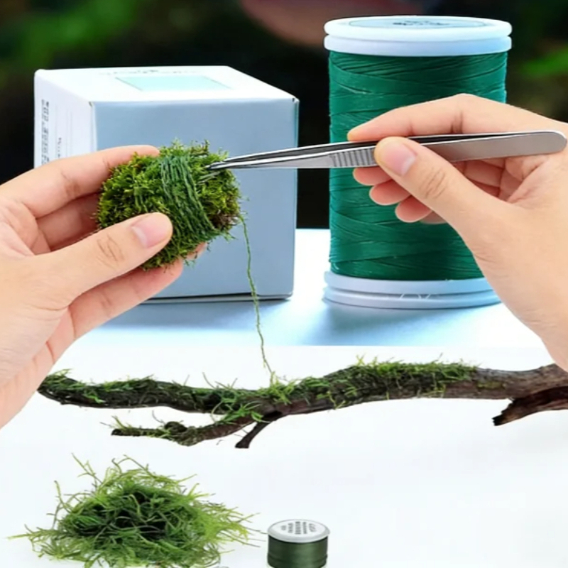 เชือกมอสสำหรับตู้ปลา ย่อยสลายไ - Planted Aquarium With Driftwood บทวิจารณ์และราคา