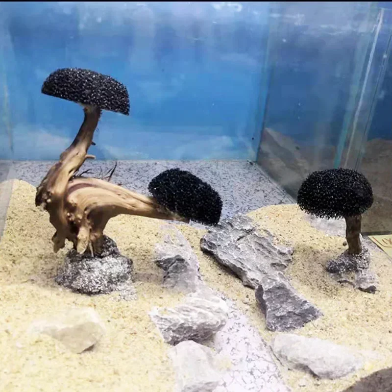 ต้นไม้ตกแต่งตู้ปลา ไม้ประดับ ต - Planted Aquarium With Driftwood บทวิจารณ์และราคา