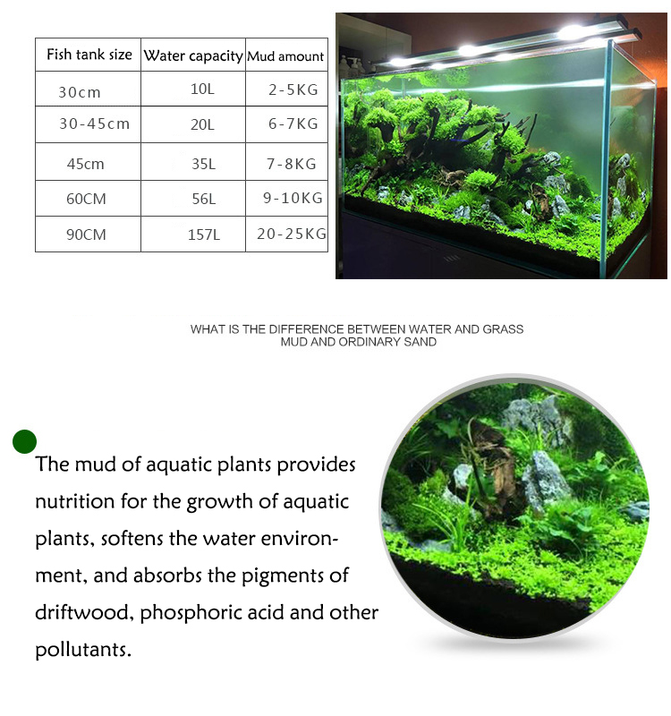 พิพิธภัณฑ์สัตว์น้ำเมล็ดพืชดิน  - Aquarium Plant Delivery บทวิจารณ์และราคา