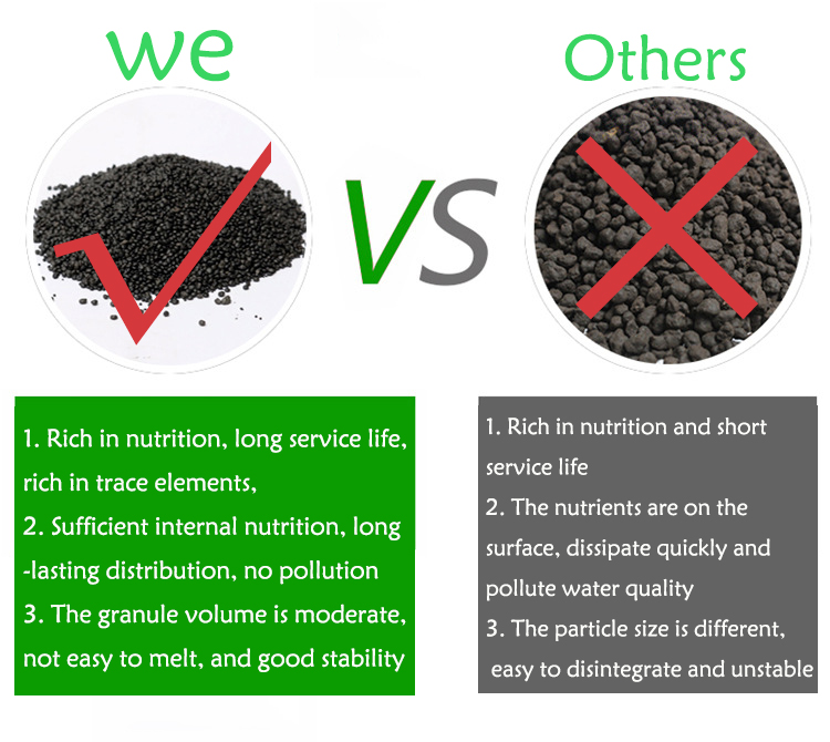 พิพิธภัณฑ์สัตว์น้ำเมล็ดพืชดิน  - Aquarium Plant Delivery บทวิจารณ์และราคา