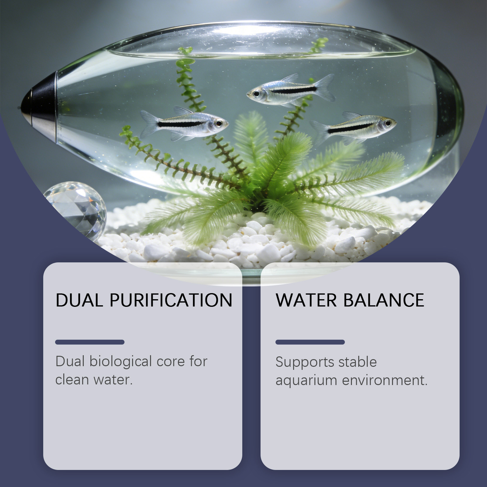 เม็ดกำจัดตะไคร่น้ำสำหรับตู้ปลา - Planted Aquarium Algae Remover บทวิจารณ์และราคา