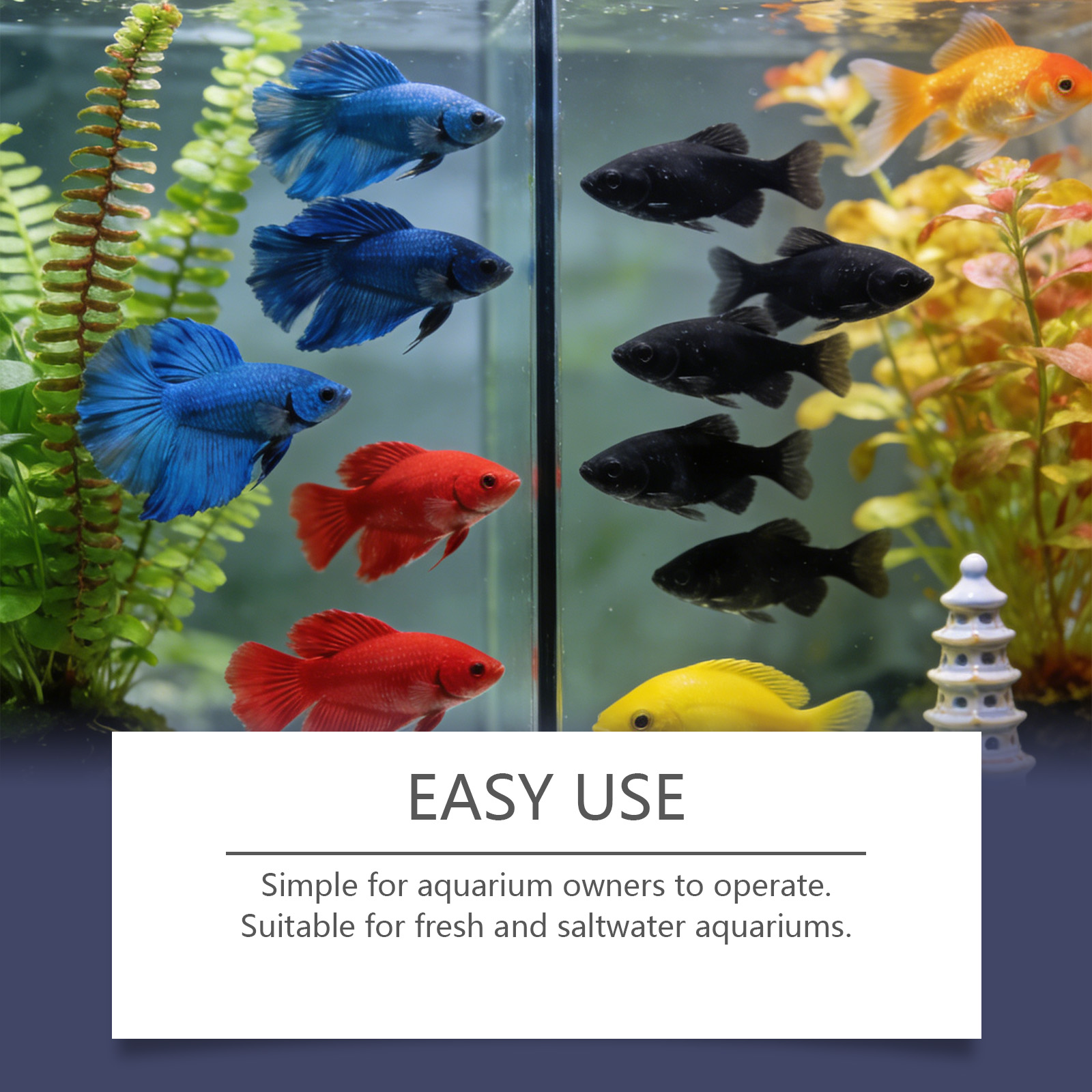 เม็ดกำจัดตะไคร่น้ำสำหรับตู้ปลา - Planted Aquarium Algae Remover บทวิจารณ์และราคา