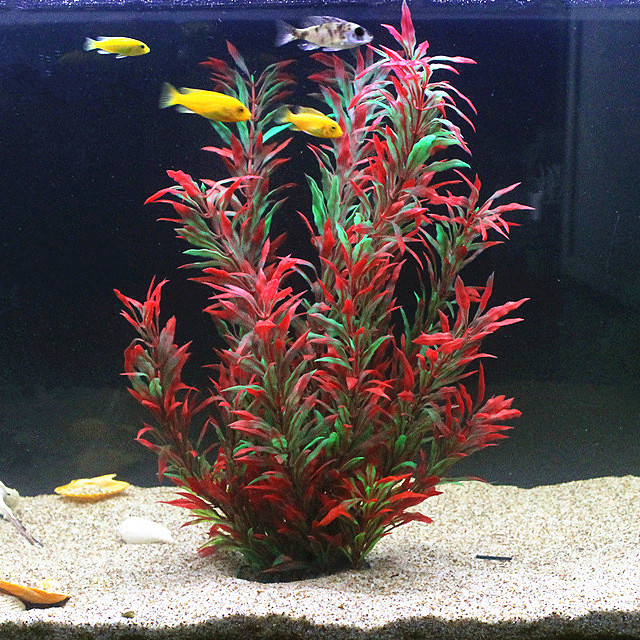 50 ซม.ถังปลาประดิษฐ์พืชหายากAq - Aquarium Plant Delivery บทวิจารณ์และราคา