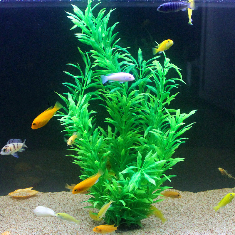 50 ซม.ถังปลาประดิษฐ์พืชหายากAq - Aquarium Plant Delivery บทวิจารณ์และราคา