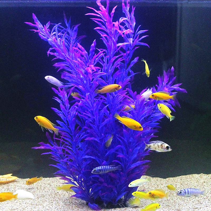 50 ซม.ถังปลาประดิษฐ์พืชหายากAq - Aquarium Plant Delivery บทวิจารณ์และราคา